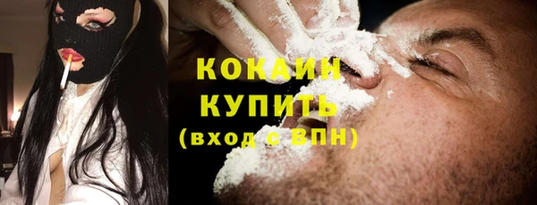 мдпв Шадринск