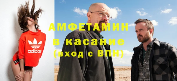 гидра Инта