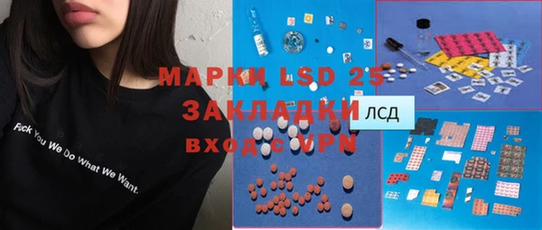 гидра Инта