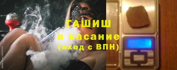 гидра Инта