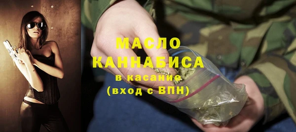 гидра Инта
