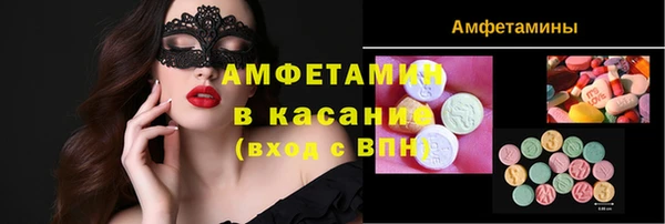 гидра Инта