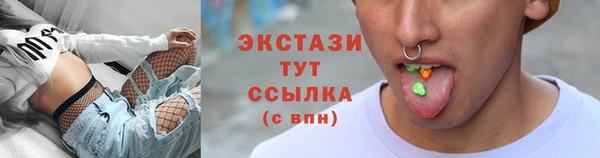 гидра Инта