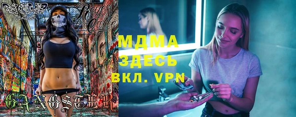 гидра Инта