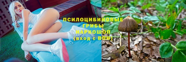 a pvp Шарыпово