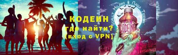 гидра Инта