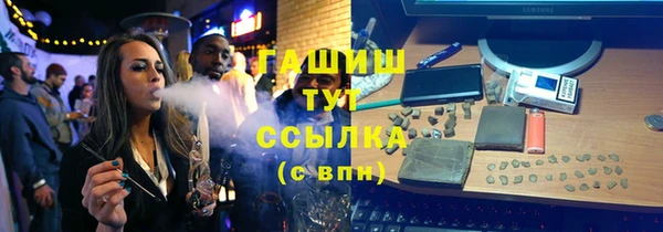 гидра Инта