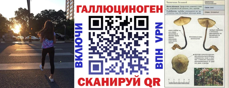 Псилоцибиновые грибы Psilocybe  Купить  Николаевск-на-Амуре 